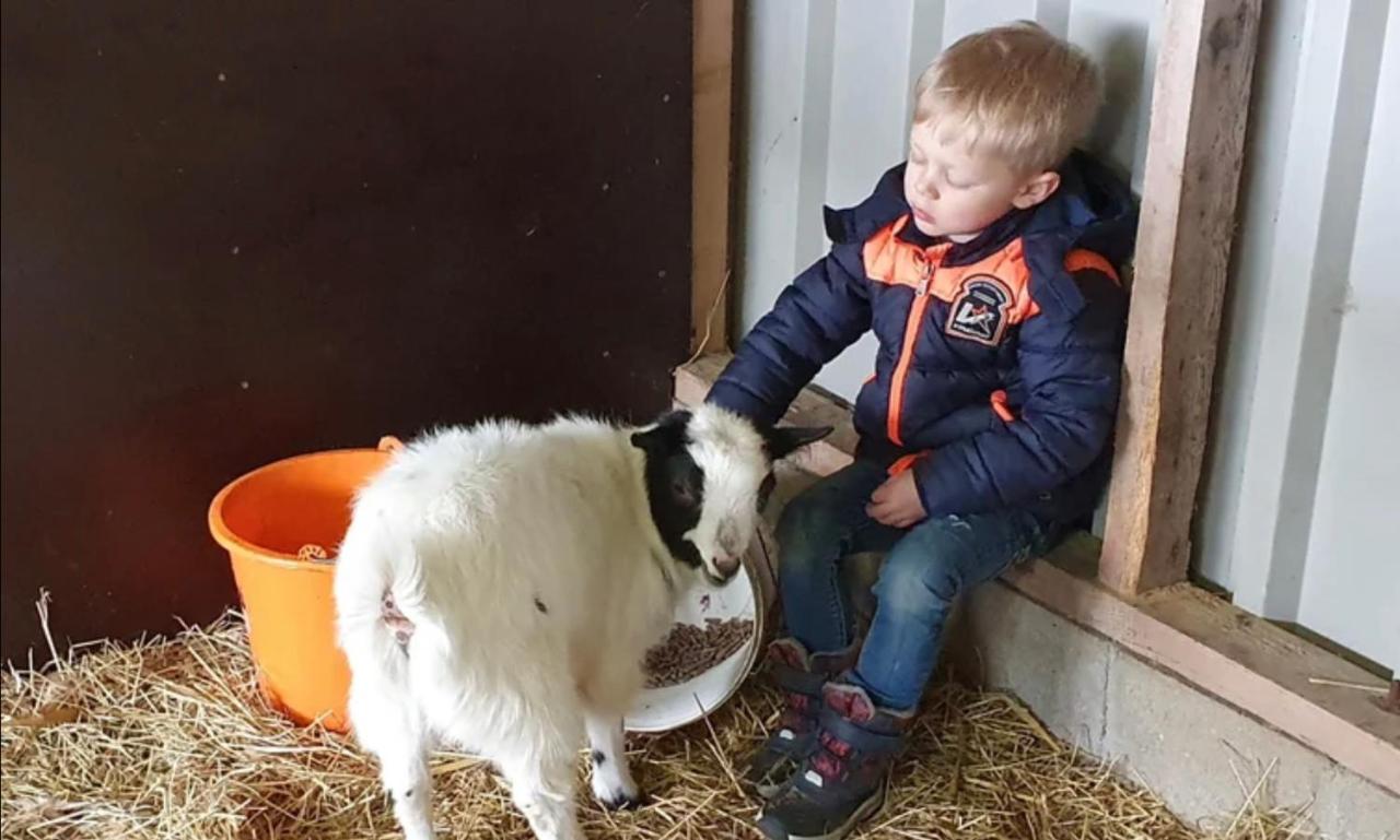 Vakantieboerderij Huize Nuis Noordbeemster Bagian luar foto