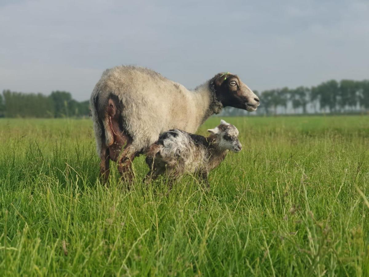 Vakantieboerderij Huize Nuis Noordbeemster Bagian luar foto